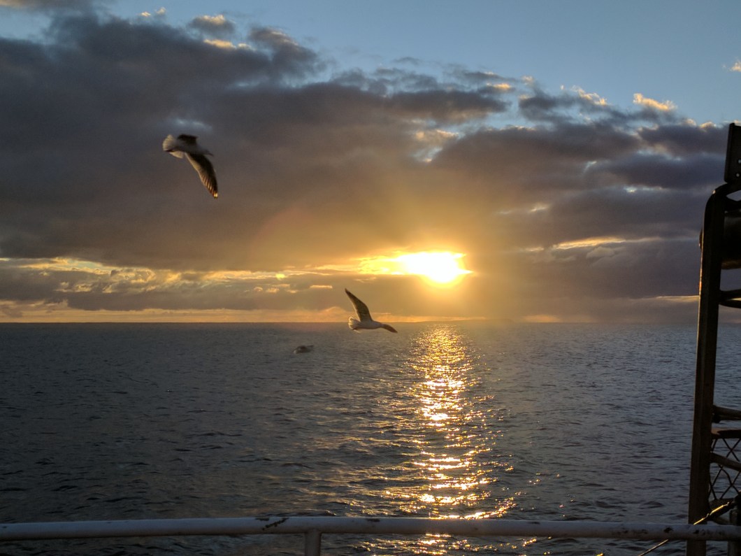 birdsSunset2
